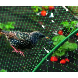 Filet Oiseau 8X10M Birdnet