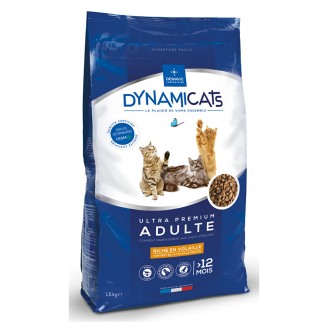 Croquettes dynmicats 1,5KG chat adulte - volaille